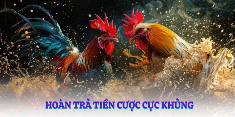 Hoàn trả tiền cược cực khủng