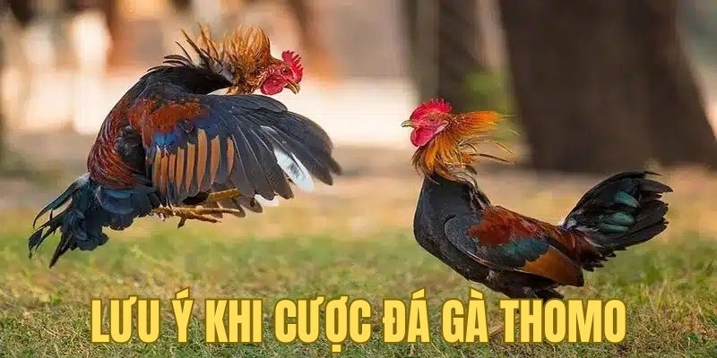 Lưu ý cho anh em khi tham gia cược vào các trận đấu