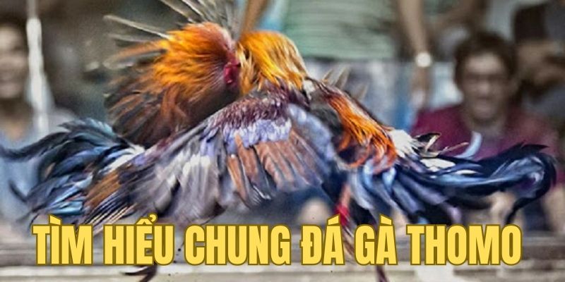 Tìm hiểu chung về trò chơi được cược thủ yêu thích